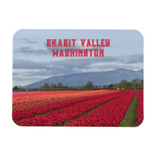 Imán Campo de Tulipanes de Skagit Valley Washington Fri