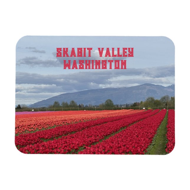 Imán Campo de Tulipanes de Skagit Valley Washington Fri (Horizontal)