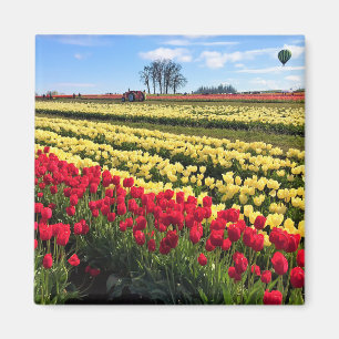Imán Campo de tulipanes rojo y amarillo con globo de ai