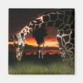 Imán Campo escolar africano