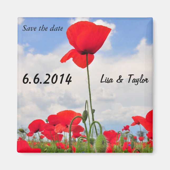 Imán Campo Poppies (Frente)