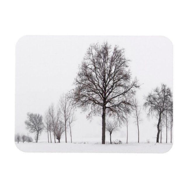 Imán Campos alrededor de Scalenghe | Piamonte, Italia (Horizontal)