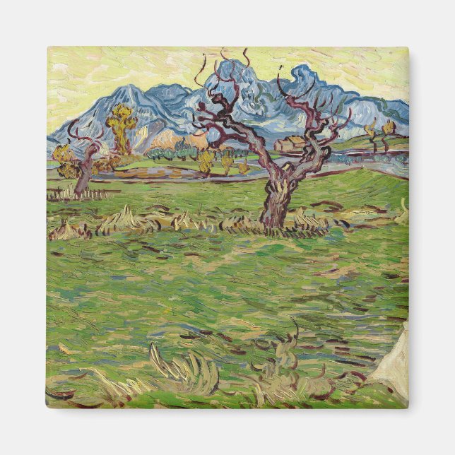 Imán Campos cerca de los Alpilles Vincent van Gogh (Frente)