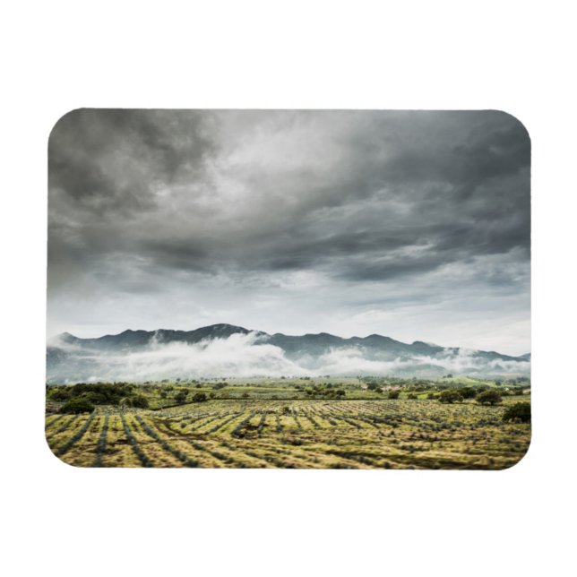 Imán Campos de cultivo rurales bajo cielo nublado (Horizontal)