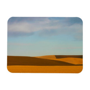 Imán Campos de trigo de oro en la región de Palouse