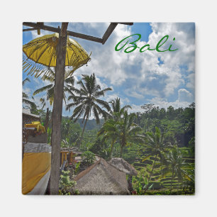 Imán Campos del arroz de Bali