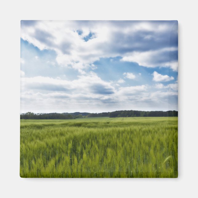 Imán Campos verdes y cielo azul (Frente)