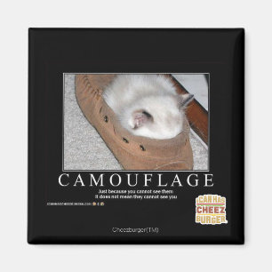 Imán Camuflaje
