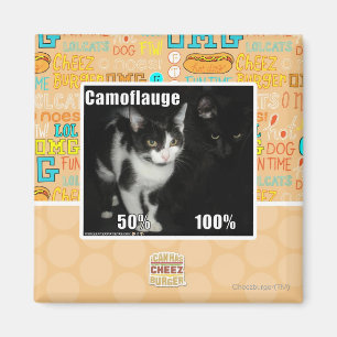 Imán Camuflaje