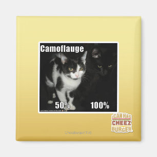 Imán Camuflaje