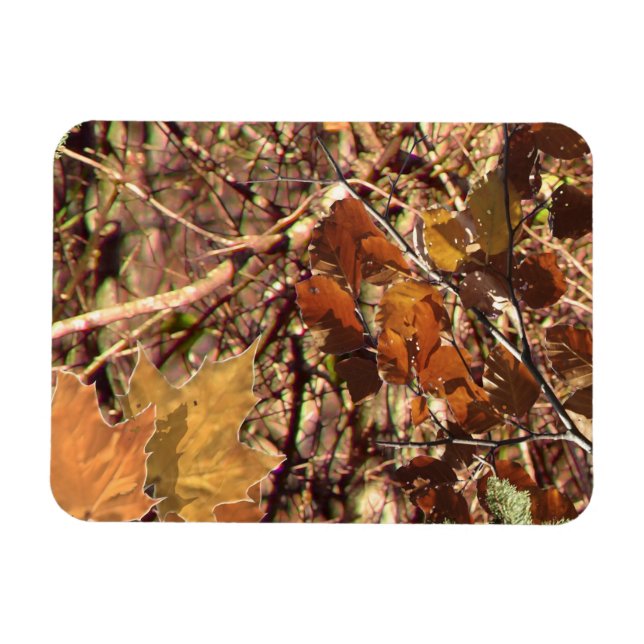 Imán Camuflaje de Bush del bosque otoño (Horizontal)