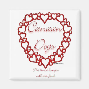 Imán Canaan Dog True Love