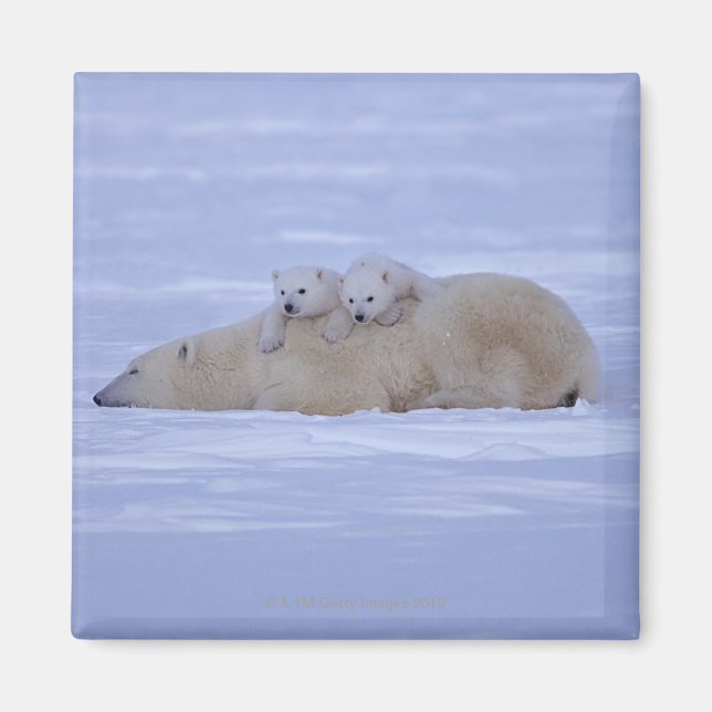 Imán Canadá (Frente)