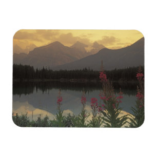 Imán Canadá, Alberta, Banff. Escena al amanecer de