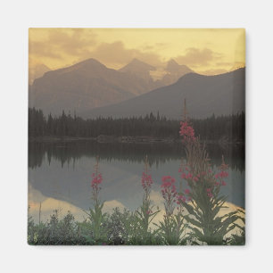 Imán Canadá, Alberta, Banff. Escena al amanecer de