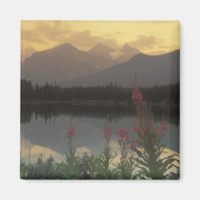 Imán Canadá, Alberta, Banff. Escena al amanecer de (Frente)