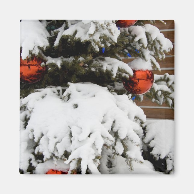 Imán Canadá, Alberta, Jasper, Jasper NP. Fairmont 2 (Frente)