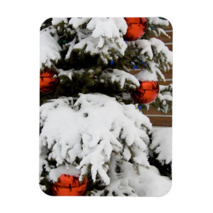 Imán Canadá, Alberta, Jasper, Jasper NP. Fairmont 2