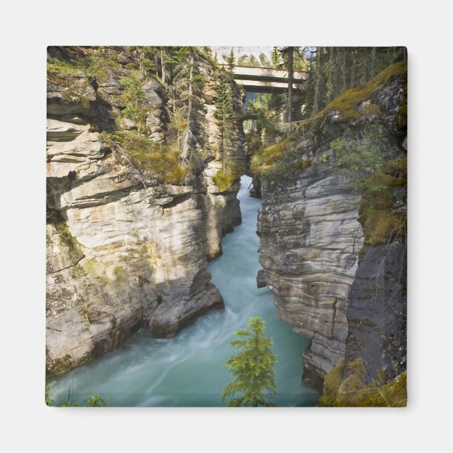 Imán Canadá, Alberta, Parque Nacional Jasper, Athabasca (Frente)