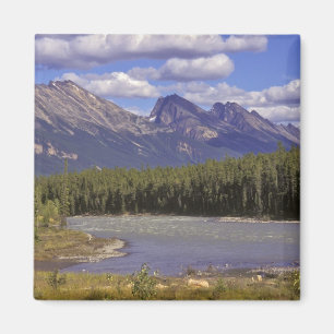 Imán Canadá, Alberta, Parque Nacional Jasper. Grande