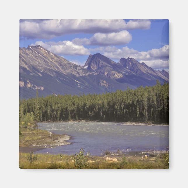 Imán Canadá, Alberta, Parque Nacional Jasper. Grande (Frente)