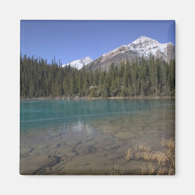 Imán Canadá, Alberta, Parque Nacional Jasper: JASPER, (Frente)