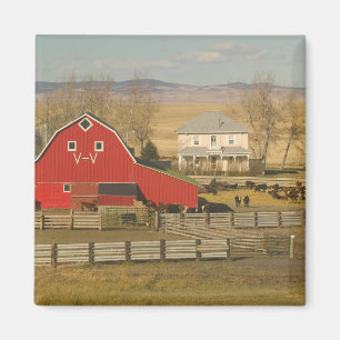 Imán Canadá, Alberta, Pincher Creek: Granero Rojo y Ran