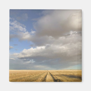 Imán Canadá, Alberta, Stand Off: Paisaje con