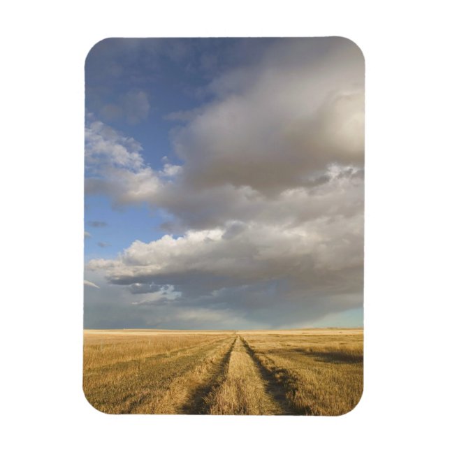 Imán Canadá, Alberta, Stand Off: Paisaje con (Vertical)