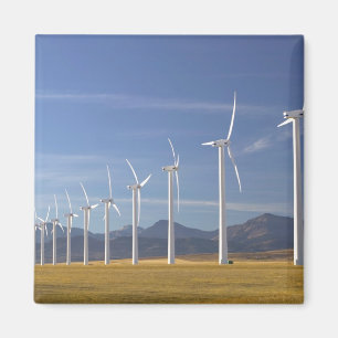 Imán Canadá, Alberta, zona de pases más amplia: Cowley