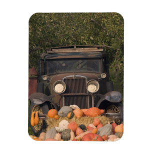 Imán CANADÁ, British Columbia, Keremeos. Otoño / 2