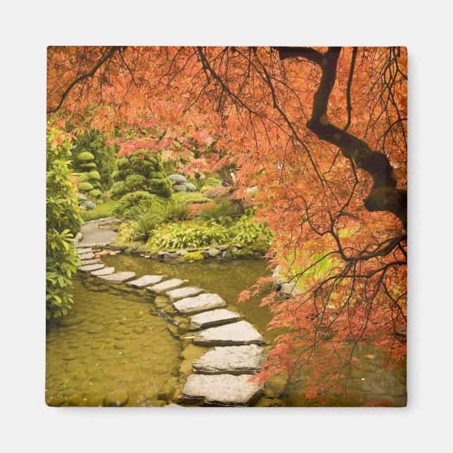 Imán CANADÁ, British Columbia, Victoria. Otoño (Frente)