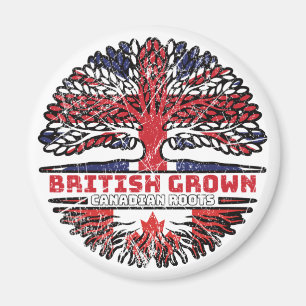Imán Canadá Canadá Reino Unido Árbol británico