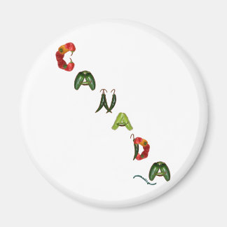 Imán Canada Chili Peppers
