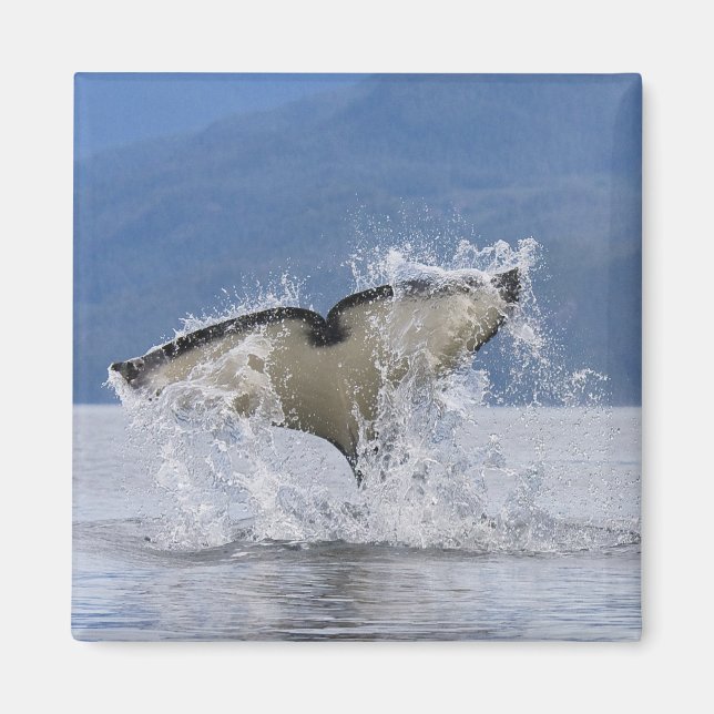 Imán Canadá, Columbia Británica, isla de Vancouver, (Frente)