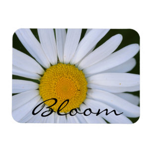 Imán Canadá, Columbia Británica, isla de Vancouver 8