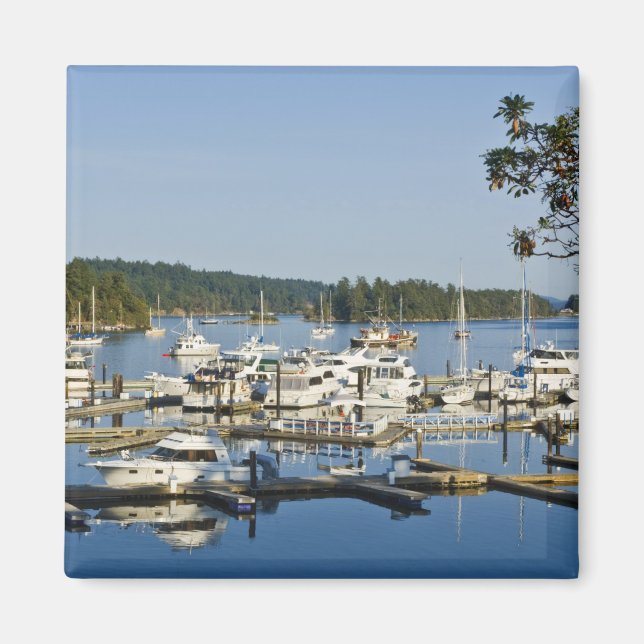 Imán Canadá, Columbia Británica, Islas del Golfo, isla  (Frente)