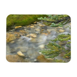 Imán Canadá, Columbia Británica, Parque Nacional Yoho. 