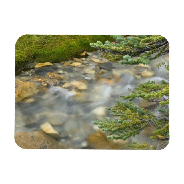 Imán Canadá, Columbia Británica, Parque Nacional Yoho.  (Horizontal)