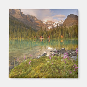 Imán Canadá, Columbia Británica, Parque Nacional Yoho
