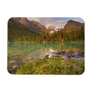 Imán Canadá, Columbia Británica, Parque Nacional Yoho.