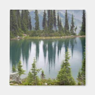 Imán Canadá, Columbia Británica, Revelstoke Nacional