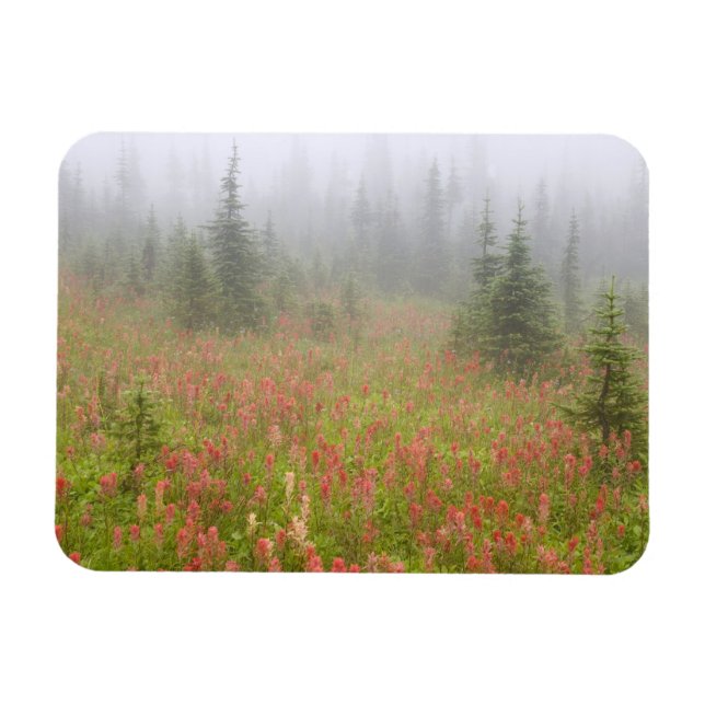 Imán Canadá, Columbia Británica, Revelstoke National (Horizontal)