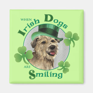 Imán Cañada del día de St Patrick de Imaal Terrier