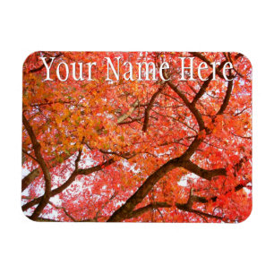 Imán Canadá Fridge Magnet Otumn Canada Souvenir Magnet