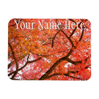 Imán Canadá Fridge Magnet Otumn Canada Souvenir Magnet