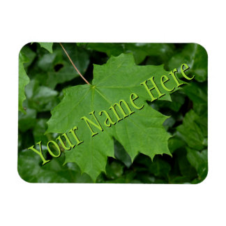 Imán Canadá Fridge Magnet Summer Canada Souvenir Magnet