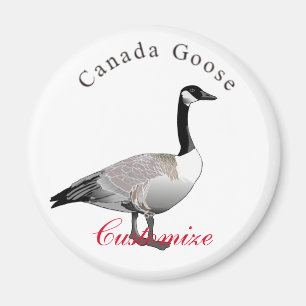 Imán Canadá Gander Thunder_Cove