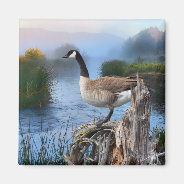 IMÁN CANADÁ GOOSE EN LA SHASTA (Frente)