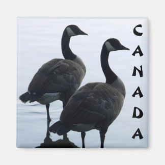 Imán Canadá Goose Magnet Canada Souvenir Fridge Magnets
